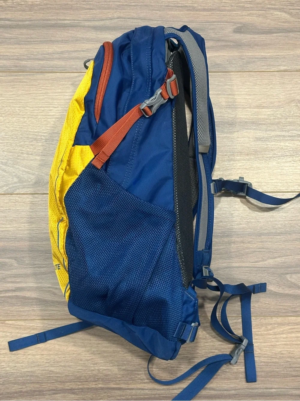 Osprey Daylite Backpack in Blue/Yellow